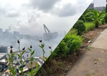 בעיות בריאותיות סביבתיות